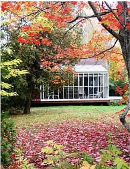 Rustic Retreat- Bois Joli Beach - Image 2