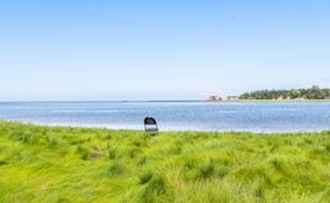 Person sitting in grassy meadow overlooking calm bay with forested shoreline and clear sky